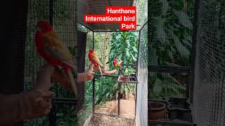 Hanthana International Bird Park😮#subscribe#srilanka#nature#shots#shorts#short#travel#shortvideo