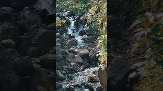 #waterfall #nature #youtubeshorts