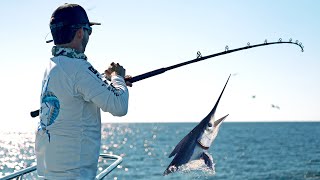 We Caught Over 100 Marlin in 24 Hours