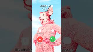 john cat revelation! he is real! 😱🙀 #cat #cartoon #funny