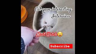 Cat gave interesting interview Sonic Exe😁😁#cat #short #shorts  #catinterview #interview #interesting