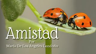 🌻POESIA DEDICADA A L@S AMIG@S DE SIEMPRE🌻 - "AMISTAD"  por María De Los Ángeles Londoño