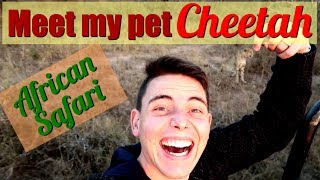 Meet my pet cheetah | African Safari | Real Life Wild Animals