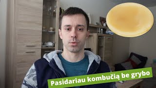 Pasidariau kombučią nuo nulio