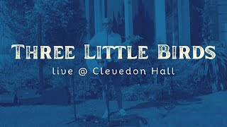 Live Wedding Performances 2023 - Three Little Birds (live Bob Marley cover)