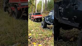 Crawl in the Nature #rc #shorts #subscribe #like #crawler #viral