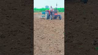 #farming #viralvideos #farmer #massey241