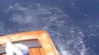 Stunt Gaffing: Deep Sea Offshore Fishing Video