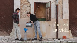 Dos hermanas vivendo en el campo - Receta aceitunas negras arrugadas, más conejos y malas noticias