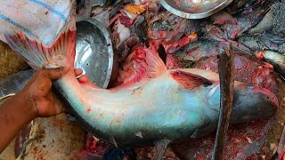 Amazing Live Pangasius Fish Cutting Skills At Fish Market Of Bangladesh