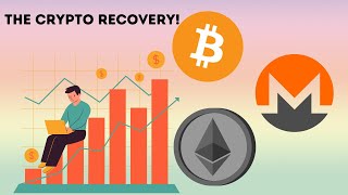 Crypto has recovered! for now