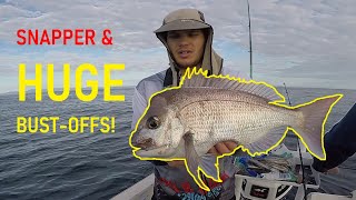 SNAPPER & HUGE bust-offs on soft plastics and bait!! (Gold Coast)