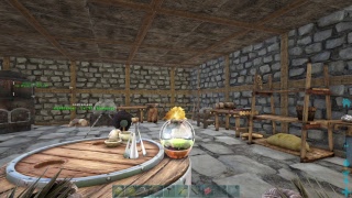 Playing ark survival primitive +