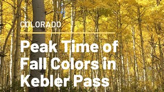 PEAK TIME OF FALL COLORS AT KEBLER PASS, COLORADO