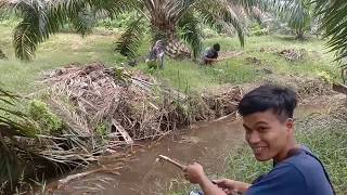 Parit Sarangnya Ikan