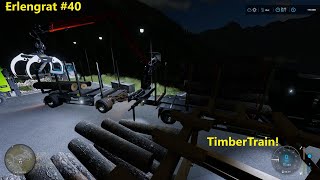 FS22 | Moving MANURE and TRANSPORTING timber! | ERLENGRAT #40 | Alpine Dairy Farm | NIGHTTIME