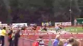 110m hurdles final (dead race) 1