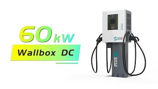 DC Wallbox EV Charger Detail Display