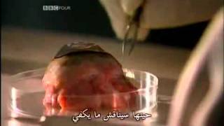 Ep1 - part6-8 - فليكن نور.flv