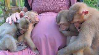 Mom KT try to solace Baby Angela to sleep with others. baby is calm & deep sleep on her mom's belly