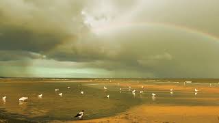 The Baltic Sea - Mesmerizing Seaside Vibes | Liepaja Beach with Music by Pols Bernots