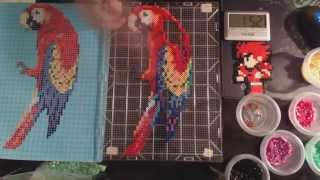 Perler Beads Parrot Timelapse