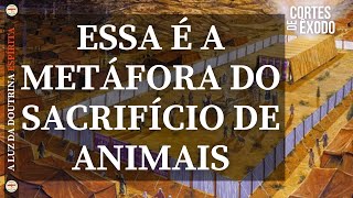 ESSA É A METÁFORA DO SACRIFÍCIO DE ANIMAIS - Haroldo Dutra Dias