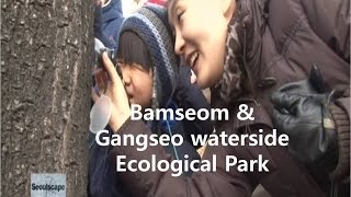 Hangang river with Bamseom & waterside Ecological Park