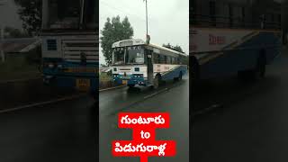 గుంటూరు to పిడుగురాళ్ల  : EXPRESS Bus : Shorts