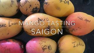 Mango Tasting - 2 different Siagon Mangos Grown in Miami