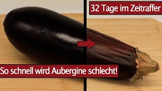 Aubergine über 32 Tage im Zeitraffer - Time Lapse zur Haltbarkeit