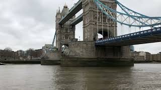 Mudlarking the River Thames - Tower Bridge view!