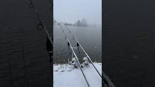 Snow & Fishing #music #dance #carpfishing #fish #carp #fishing #hobby #boilies #fox #daiwa