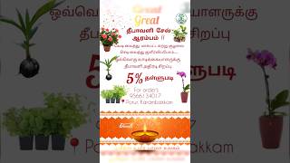 ஒவ்வொரு வாடிக்கையாளருக்கு தீபாவளி அதிரடி சிறப்பு 5% தள்ளுபடியுடன் 🪔✨ #chennaiplantshopping #diwali