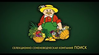 Выбор семян и посадка рассады