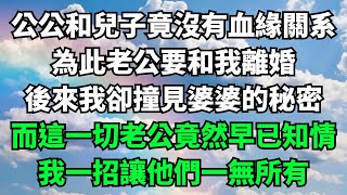 公公和兒子竟沒有血緣關系，為此老公要和我離婚，後來我卻撞見婆婆的秘密，而這一切老公竟然早已知情，我一招讓他們一無所有【人間清醒】#落日溫情 #情感故事 #花開富貴#深夜淺讀#深夜淺談#家庭矛盾 #爽文