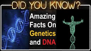 Top 10 Mind Blowing Unbelievable, Interesting and Random Fun Facts About DNA & Genetics | DNA Facts