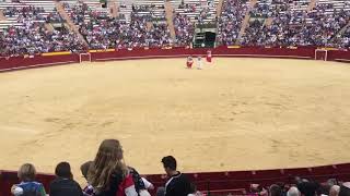 Concurso de recortes Valencia día de la tauromaquia  2018