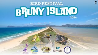 BRUNY ISLAND BIRD FESTIVAL 2024 - PART 2/4