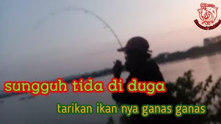 mancing pagi di jojontor pasir putih pangandaran, "sungguh tida di duga bkl seperti ini