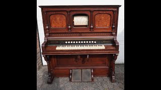 Orpheus player organ