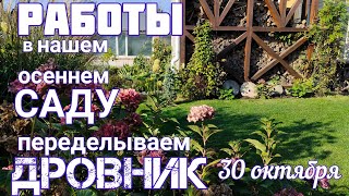 Лучшие ХВОЙНЫЕ - БЕЗ  ЗАБОТ и ХЛОПОТ 👍 Мои РАБОТЫ в САДУ 💐 Октябрь 💐