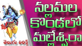 నల్లమల కొండలో మల్లేశ్వరా || Srisailam Mallanna Patalu || Srisailam || Mallanna Swamy ||