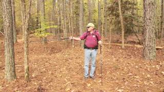 Hammock Camp Site Selection