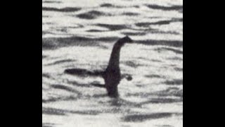 Searching about the Loch Ness Monster (DO YOU BELIVE IN IT)