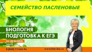 Семейство Пасленовые. Теория и практика  ЕГЭ/ОГЭ 2017.