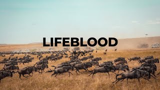 Dread Pitt - Lifeblood