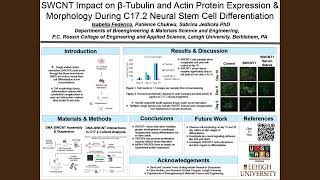 Isabella Federico, Lehigh 2024 Undergraduate Research Symposium