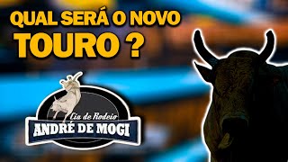 NOVA AQUISIÇÃO DA CIA ANDRE DE MOGI !! QUALS SERA O NOVO TOURO COMPRADO DA CIA CANAÃ BUCKING BULLS