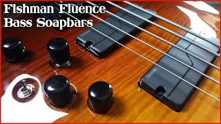 Fishman Fluence Bass Pickups - Demo and Review